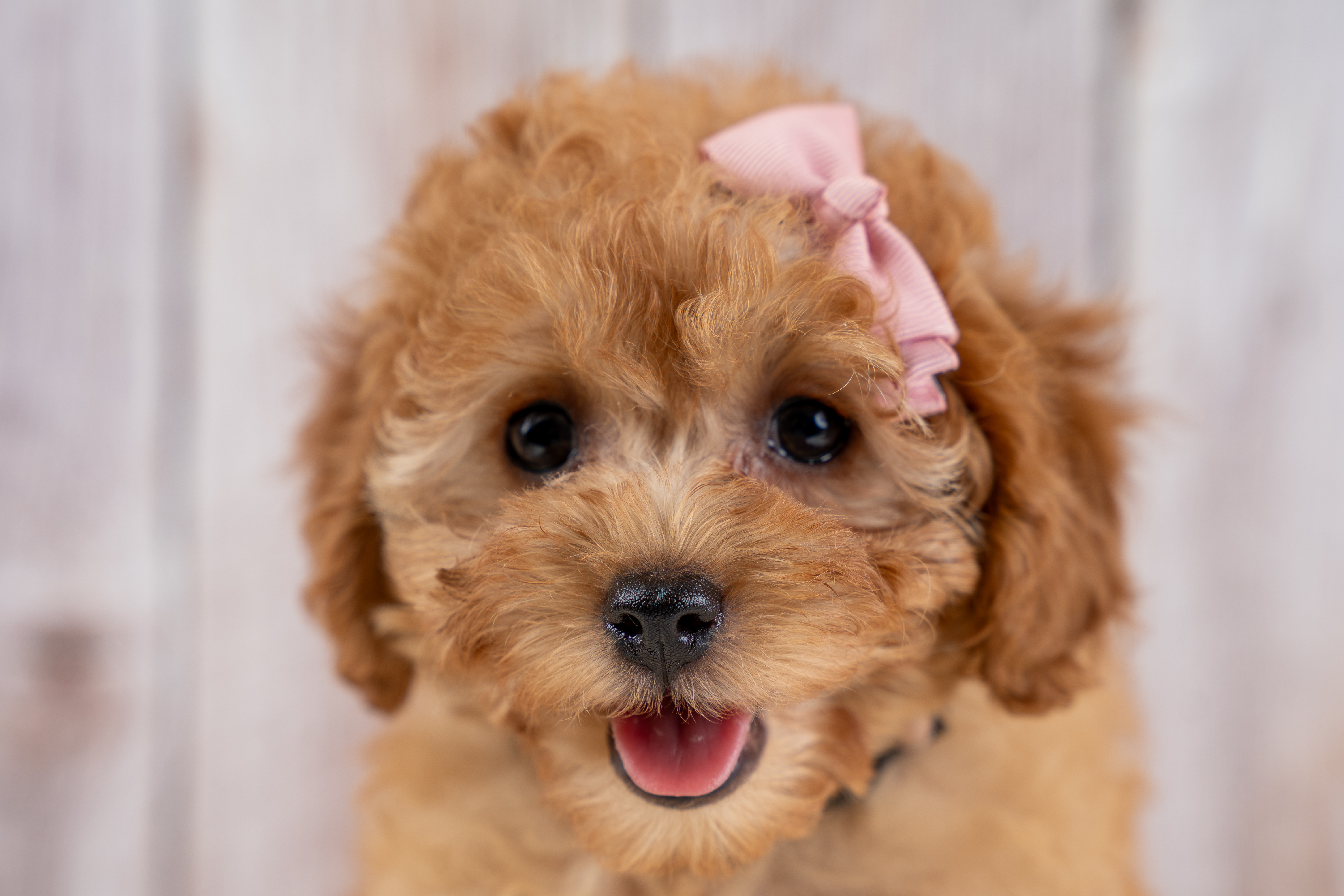 Millie