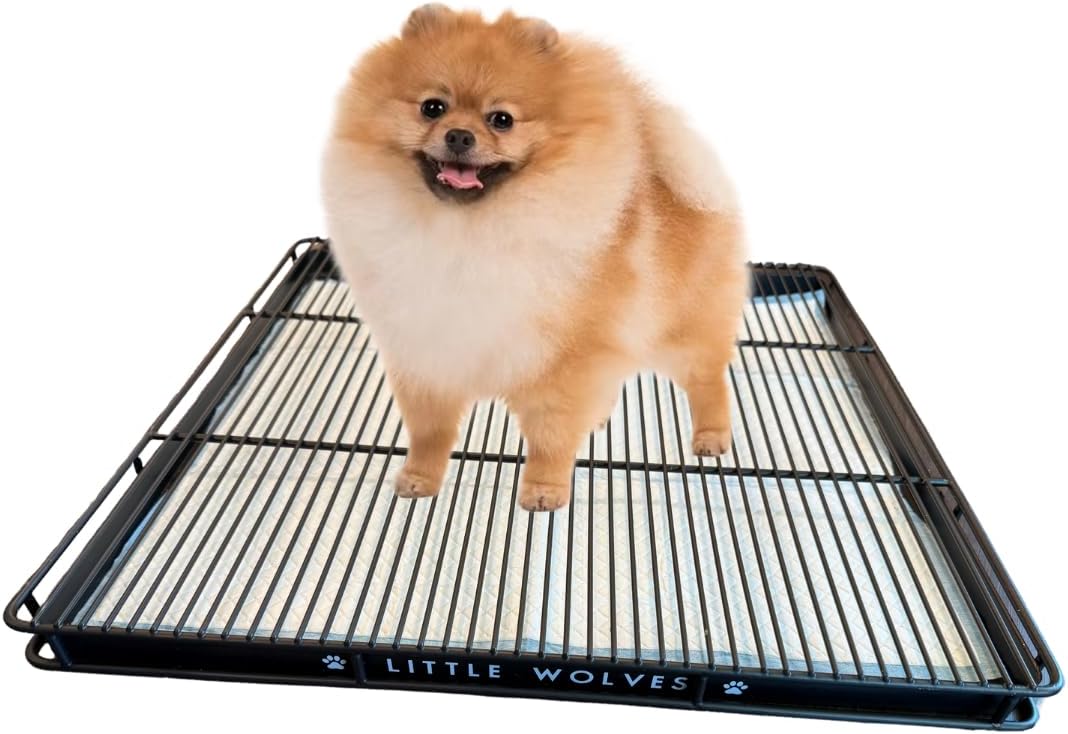 Potty Tray