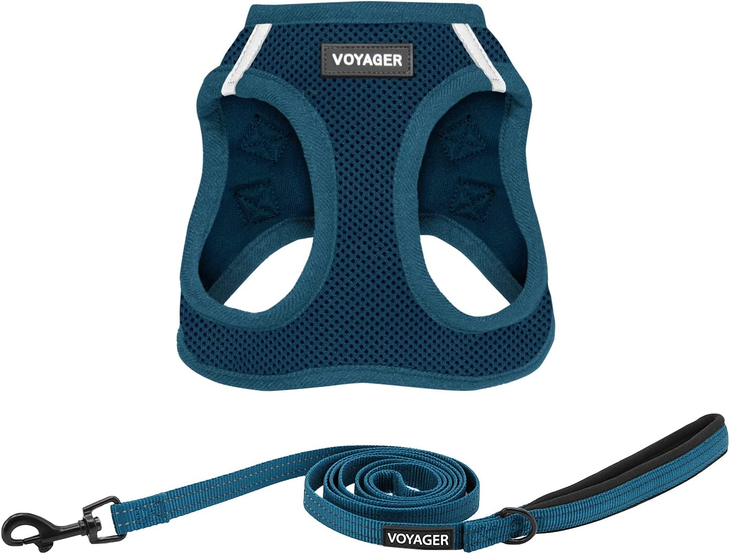 Leash & Harness