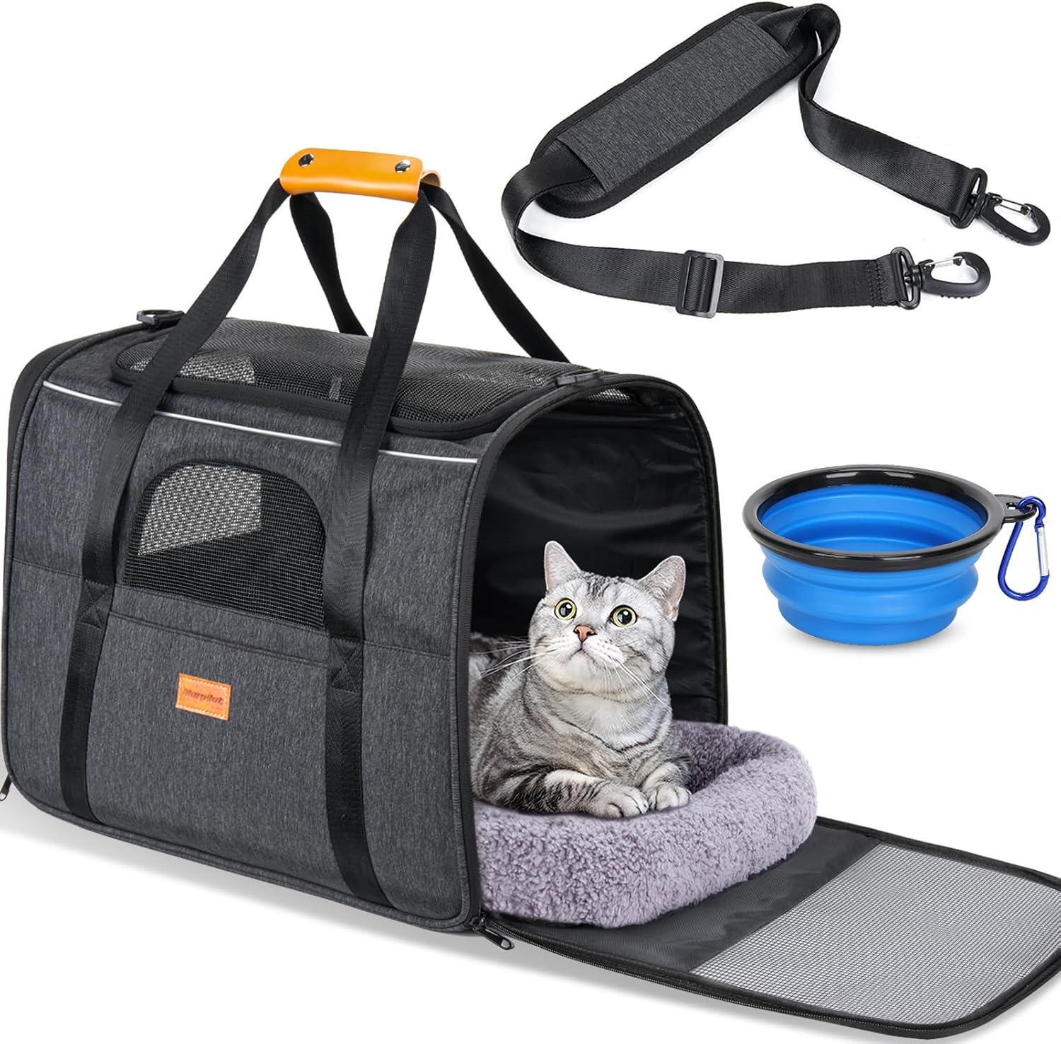 Travel Carrier