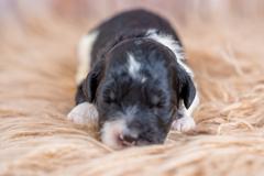 Maple Mae photo 4